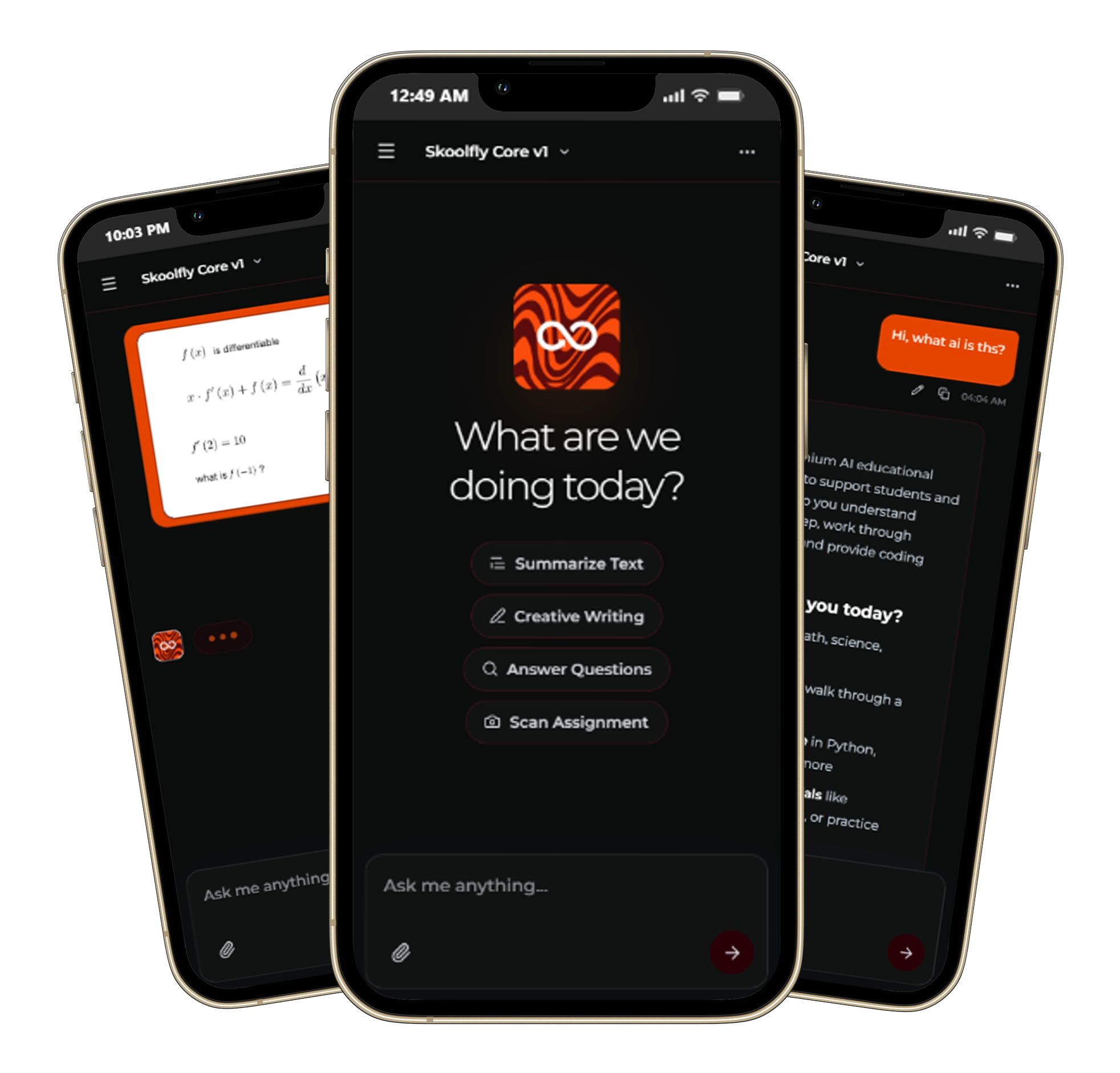 Skoolfly AI